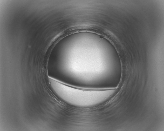 X0000065231210200602170919