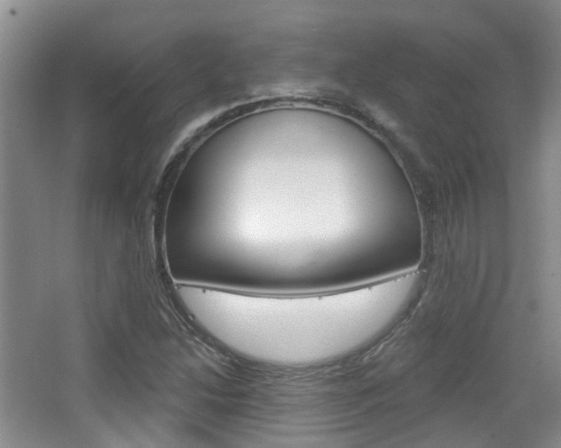 X0000065231214200602170919