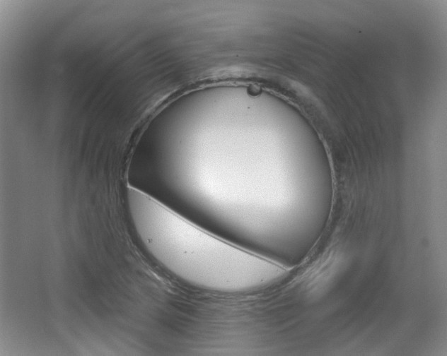 X0000065231217200602170919