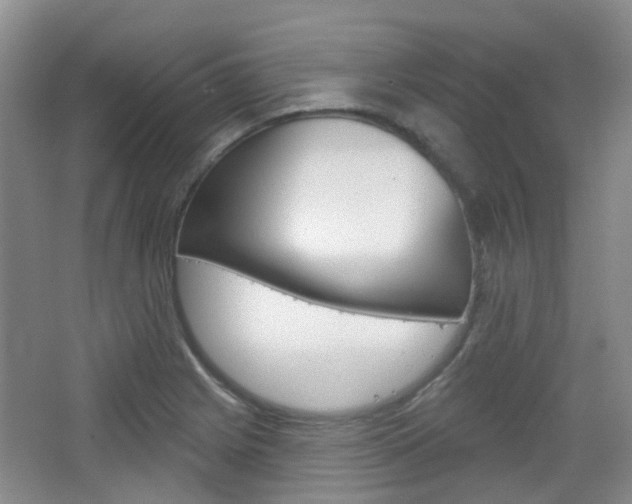 X0000065231225200602170919