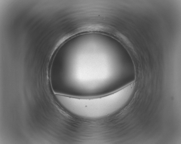 X0000065231226200602170919