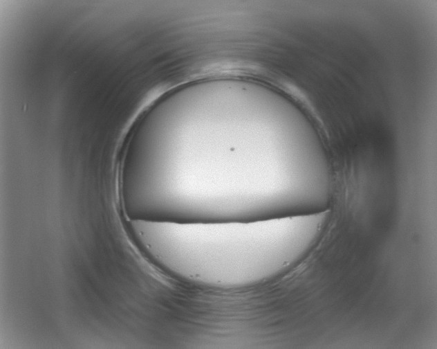 X0000065231227200602170919