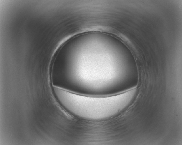 X0000065231230200602170919