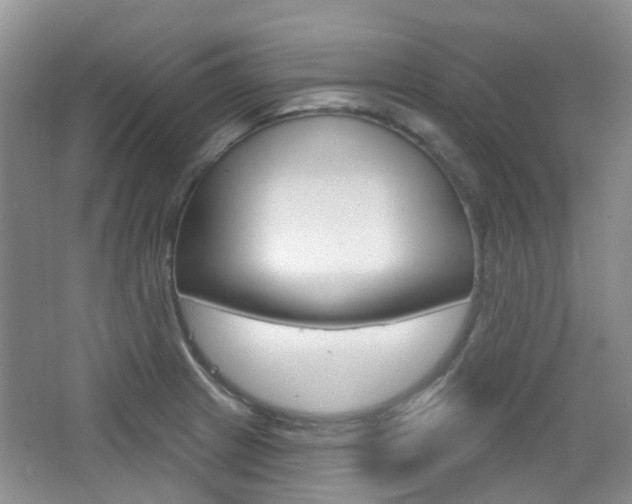 X0000065231233200602170919