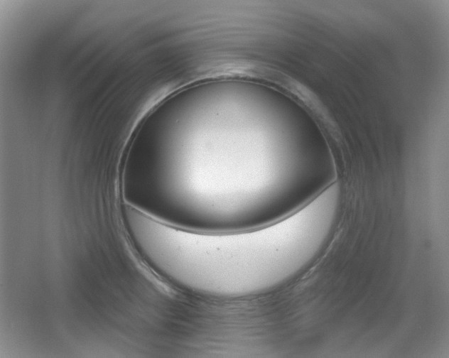 X0000065231234200602170919
