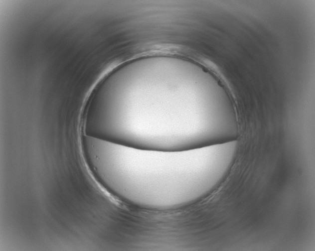 X0000065231235200602170919