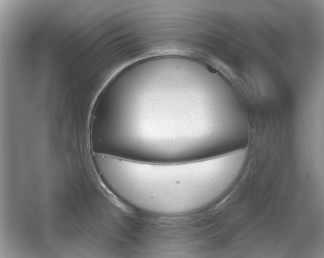 X0000065231236200602170919