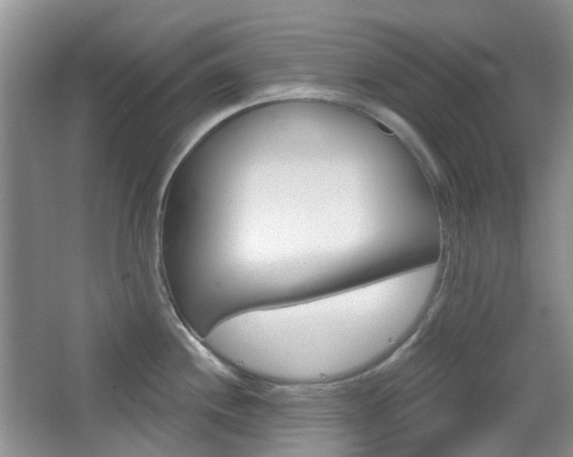X0000065231244200602170920