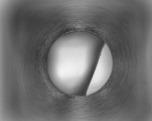 X0000065231249200602170919