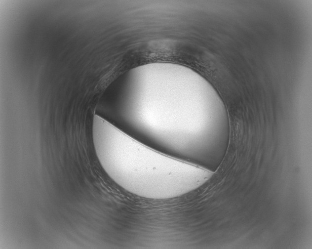 X0000065231250200602170919