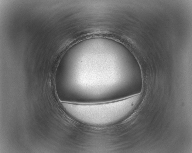 X0000065231257200602170919