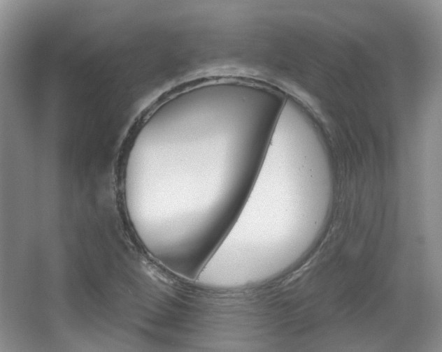 X0000065231264200602170919