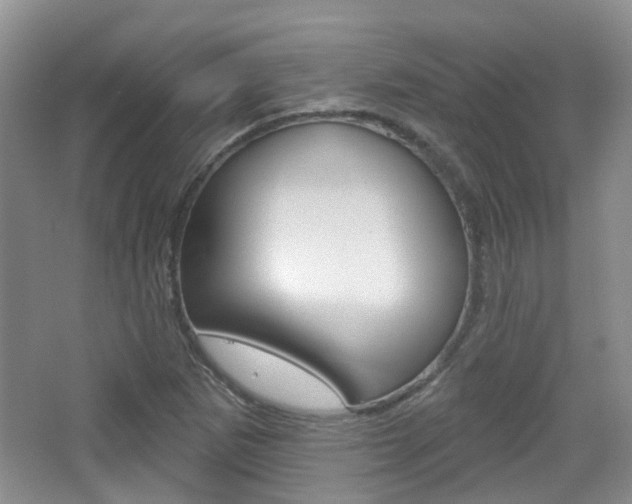 X0000065231265200602170919