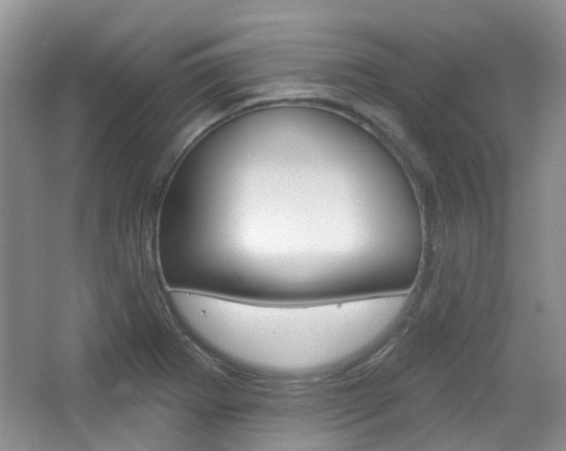X0000065231273200602170918