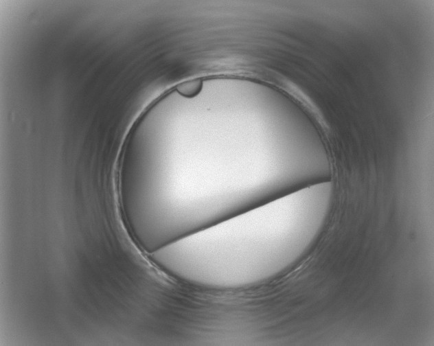 X0000065231291200602170918