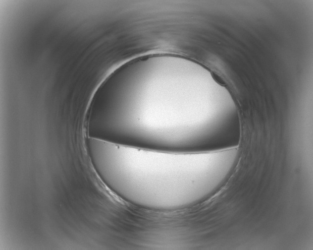 X0000065231292200602170918