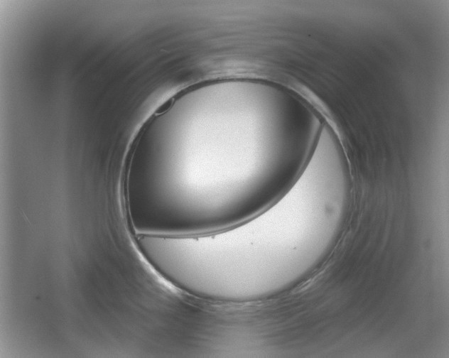 X0000065231293200602170918
