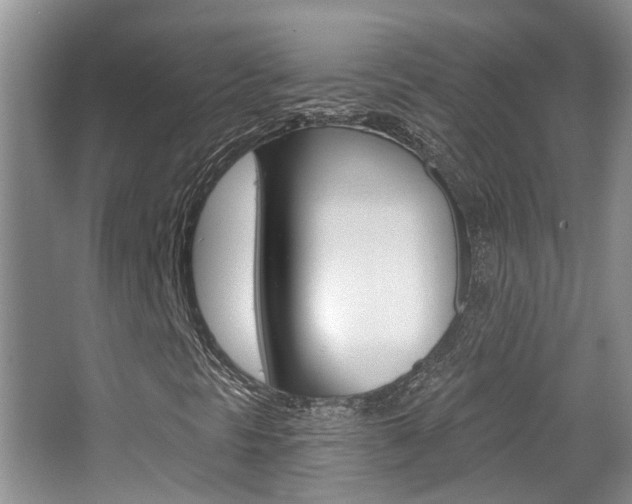X0000065231297200602170917