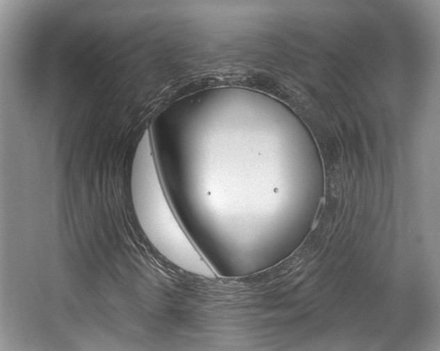 X0000065231298200602170917