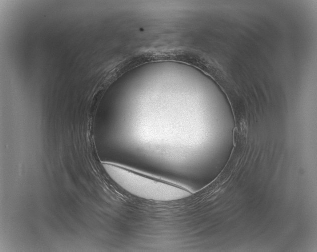 X0000065231300200602170917