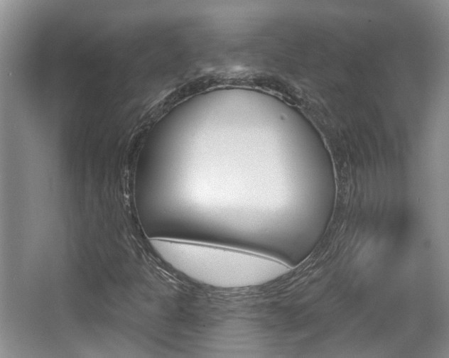 X0000065231301200602170917