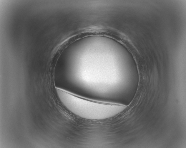 X0000065231304200602170917