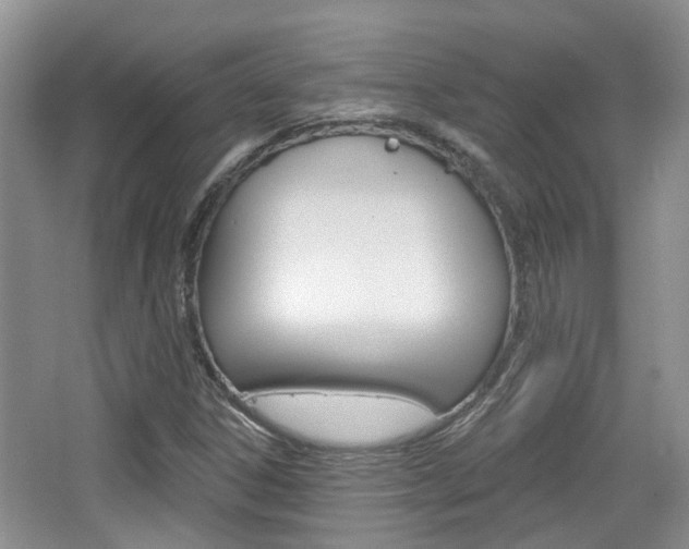 X0000065231306200602170917