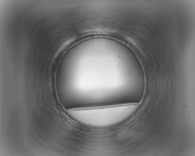 X0000065231307200602170917