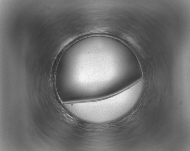 X0000065231308200602170917