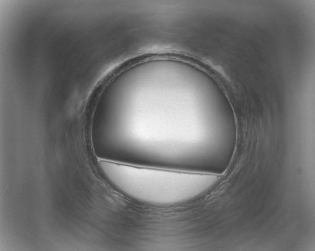 X0000065231311200602170917