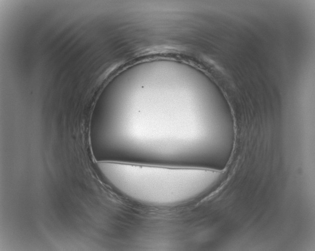 X0000065231313200602170917