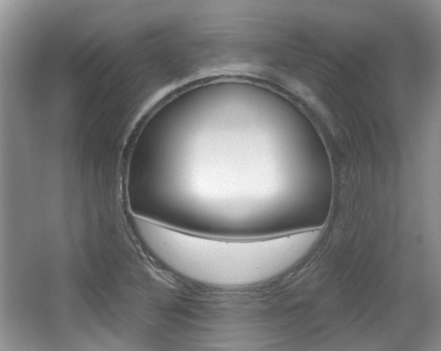 X0000065231316200602170917