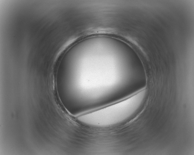 X0000065231317200602170918