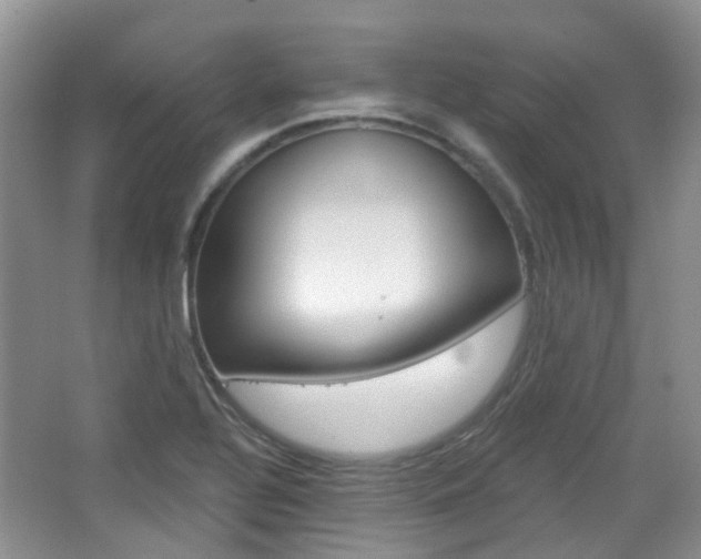 X0000065231320200602170918
