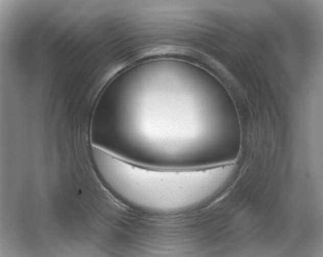 X0000065231321200602170918