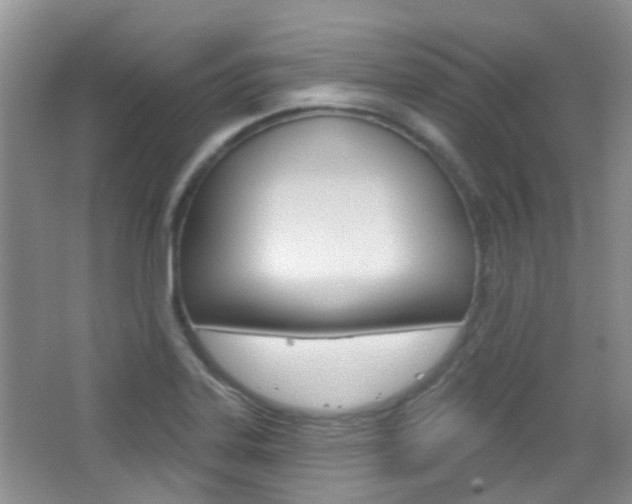 X0000065231323200602170918