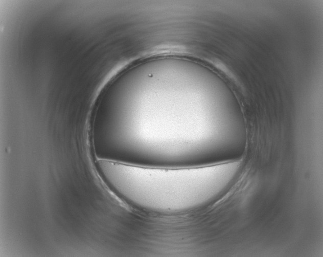 X0000065231325200602170918