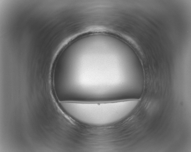 X0000065231327200602170918