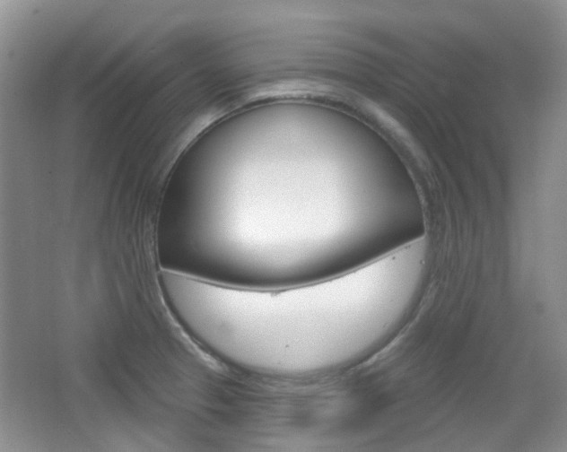 X0000065231329200602170918