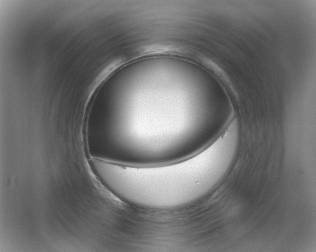 X0000065231330200602170918