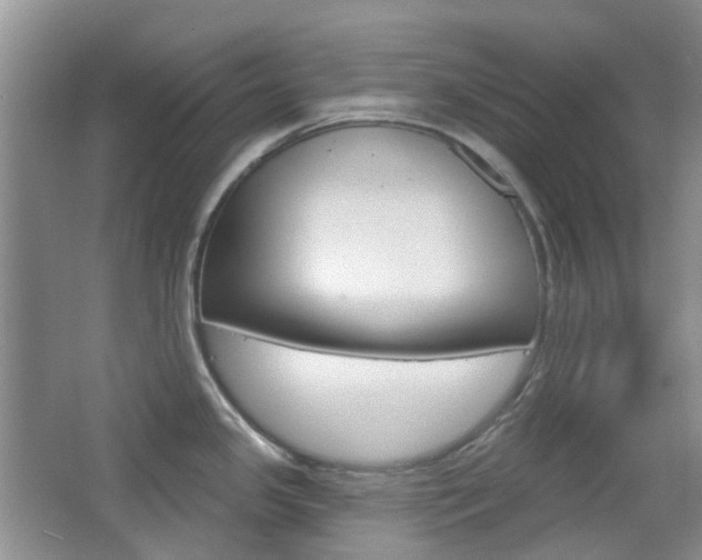 X0000065231341200602170918
