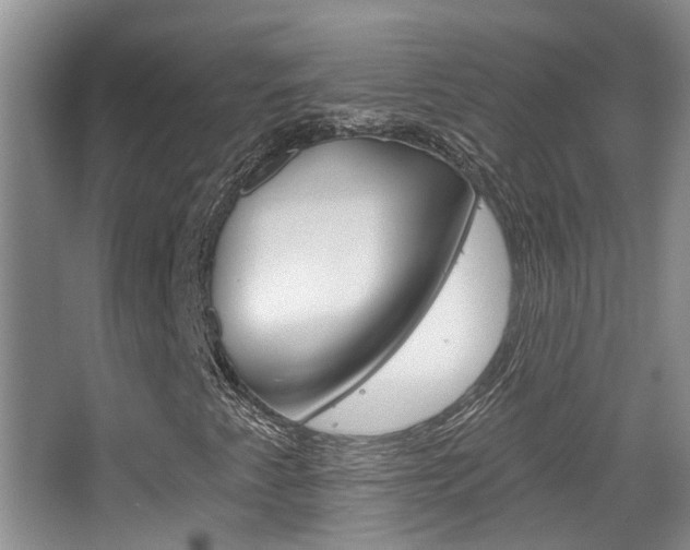 X0000065231345200602170917