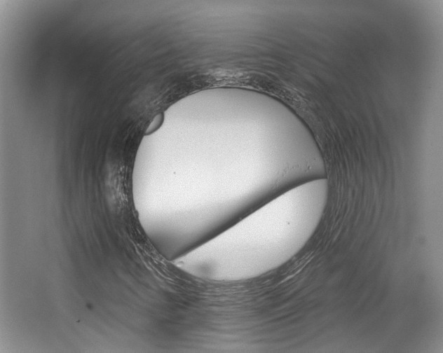 X0000065231346200602170917