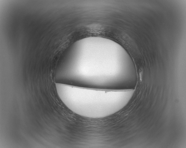 X0000065231347200602170917