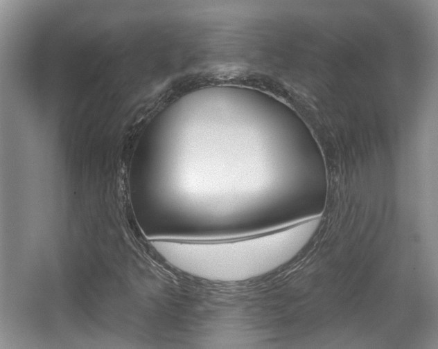 X0000065231349200602170917