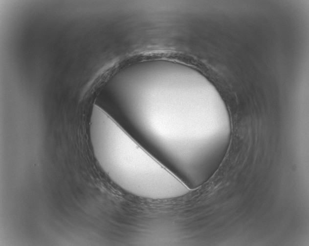 X0000065231351200602170917