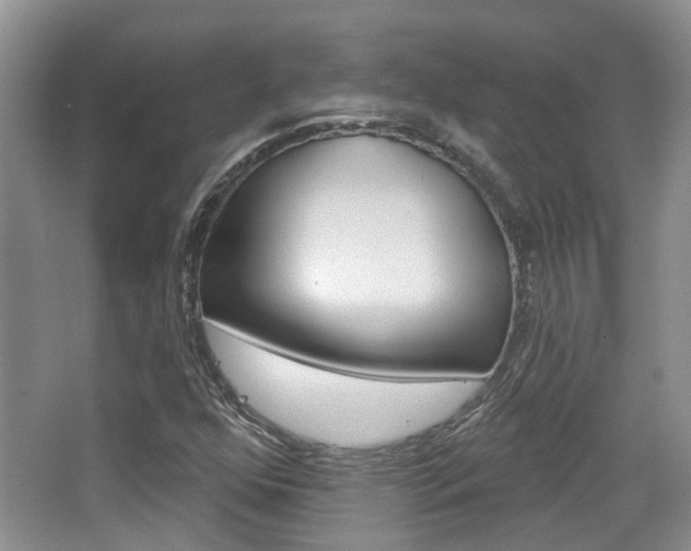 X0000065231352200602170917