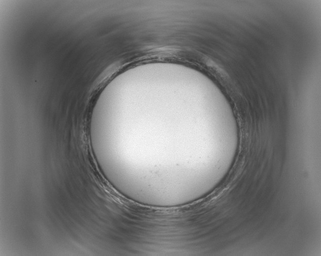 X0000065231354200602170917
