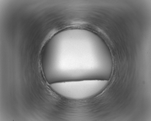 X0000065231362200602170917