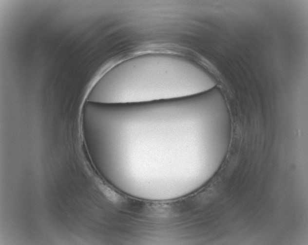 X0000065231370200602170917